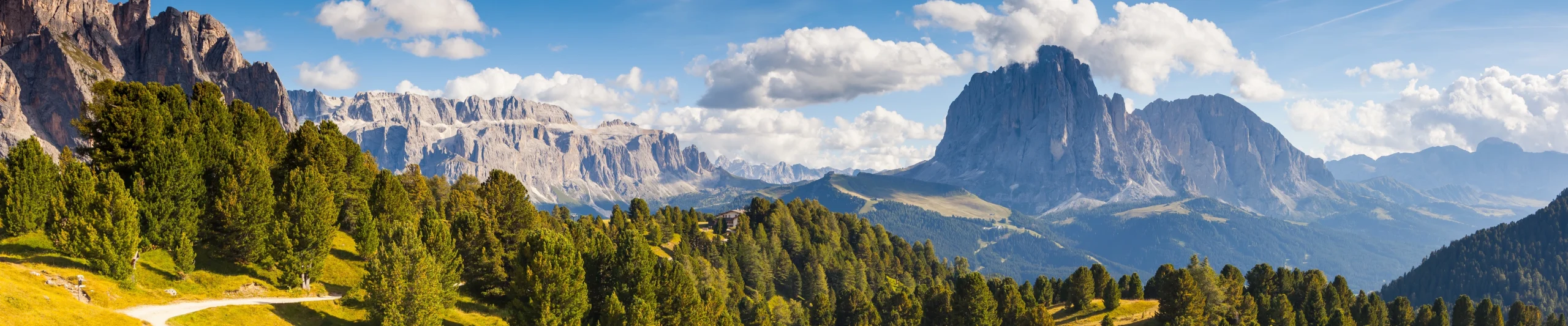 Image for Selva di Val Gardena Resort Guide