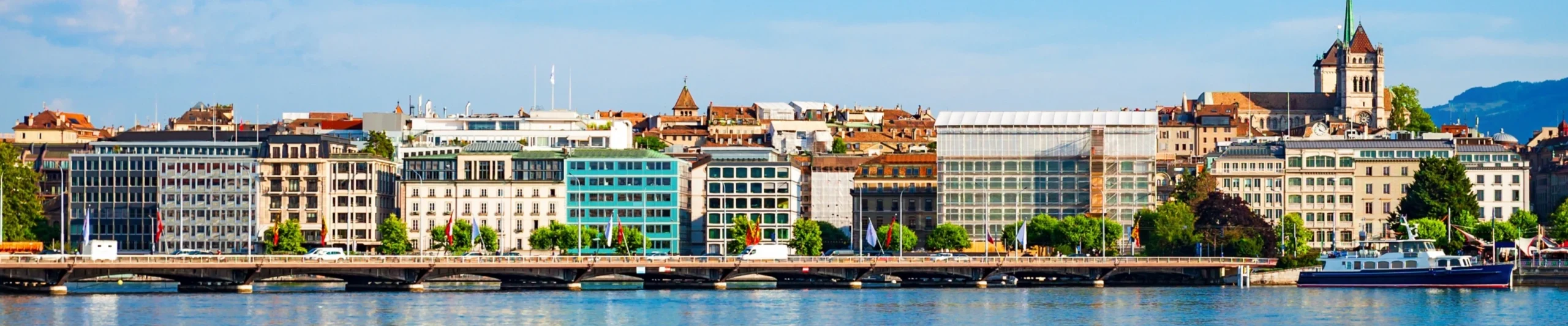 Image for Geneva Airport Guide