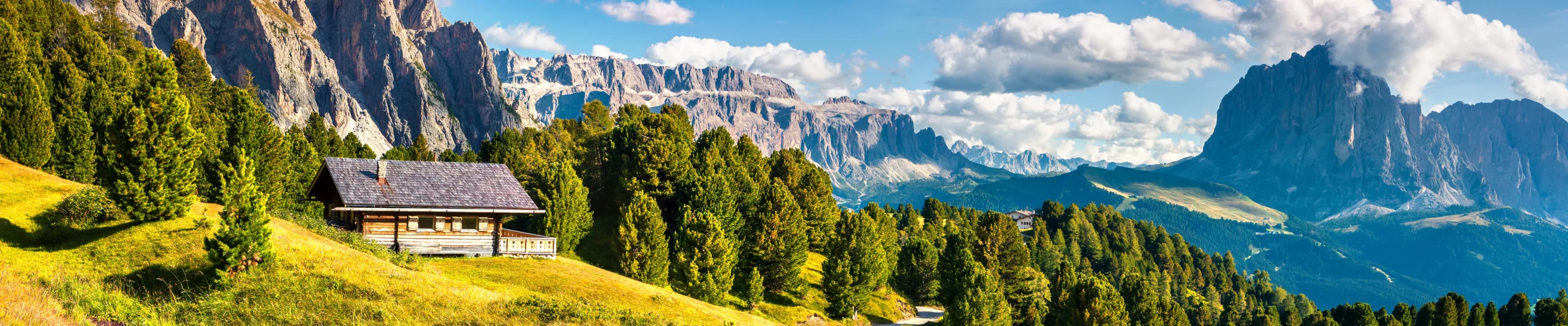 Image for Ortisei Resort Guide